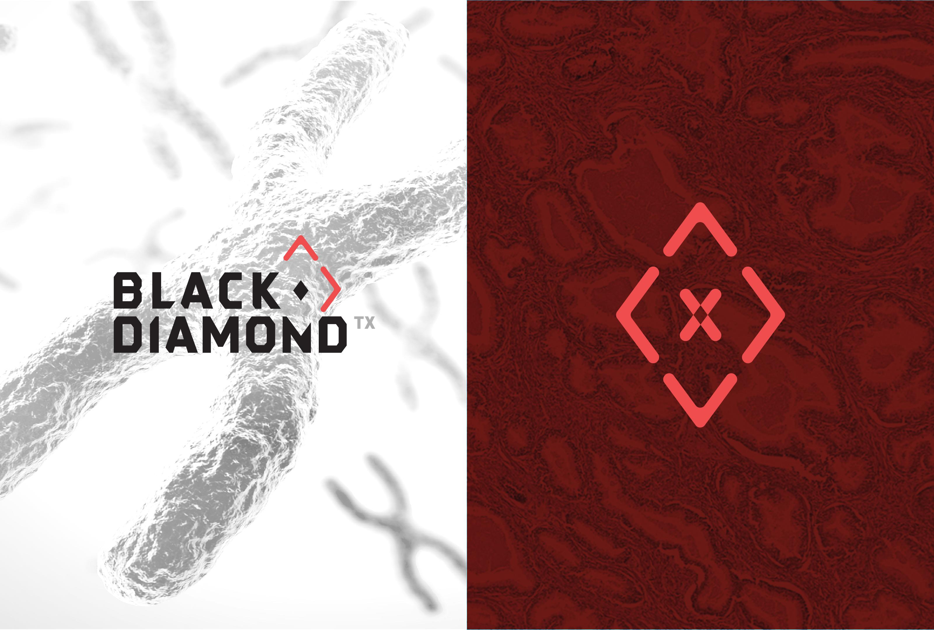 Black Diamond brand image