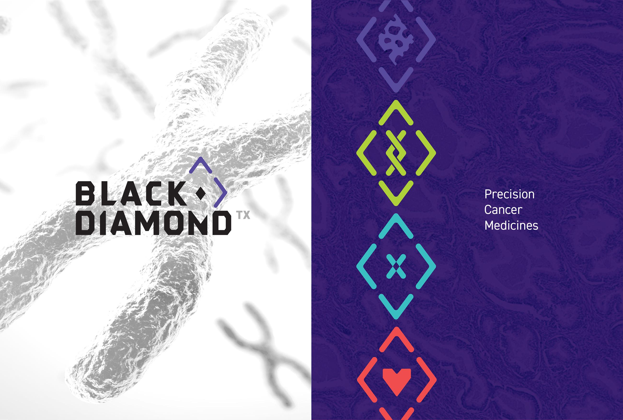 Black Diamond brand image