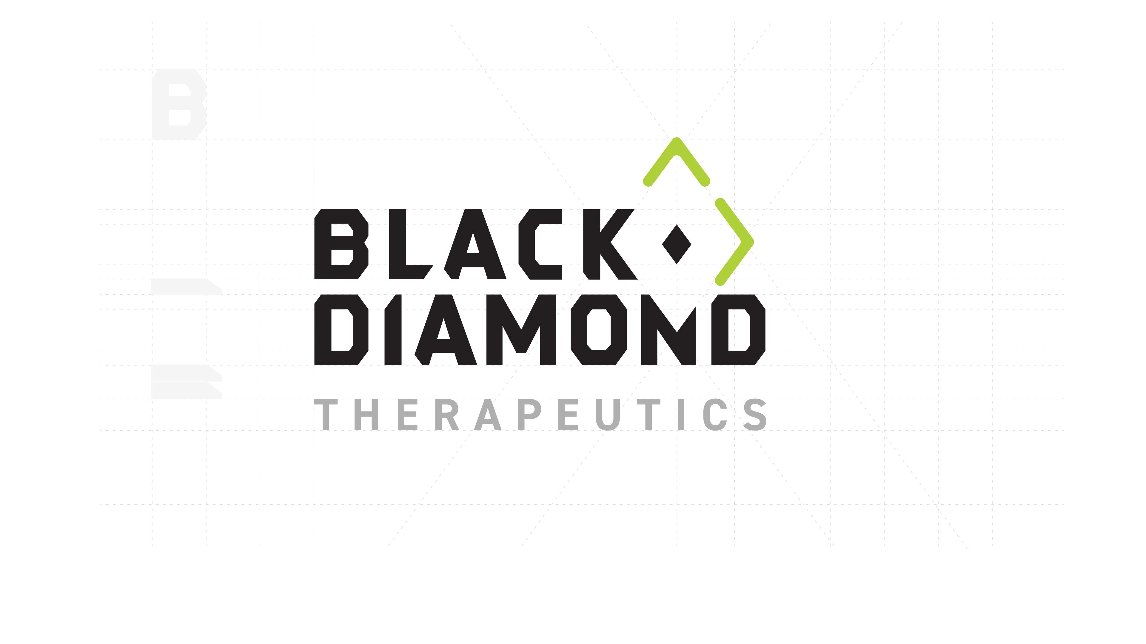 Black Diamond Logo Metrics