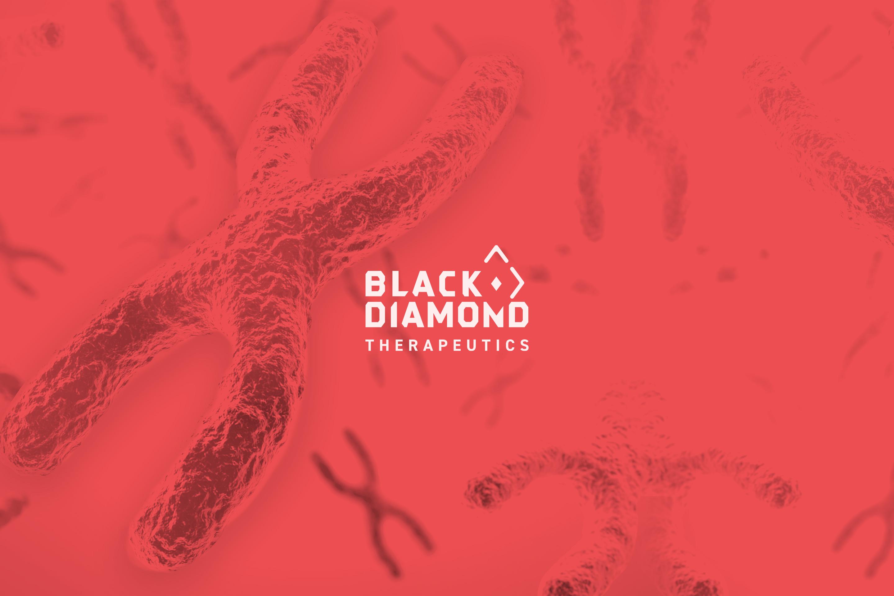 Black Diamond brand image