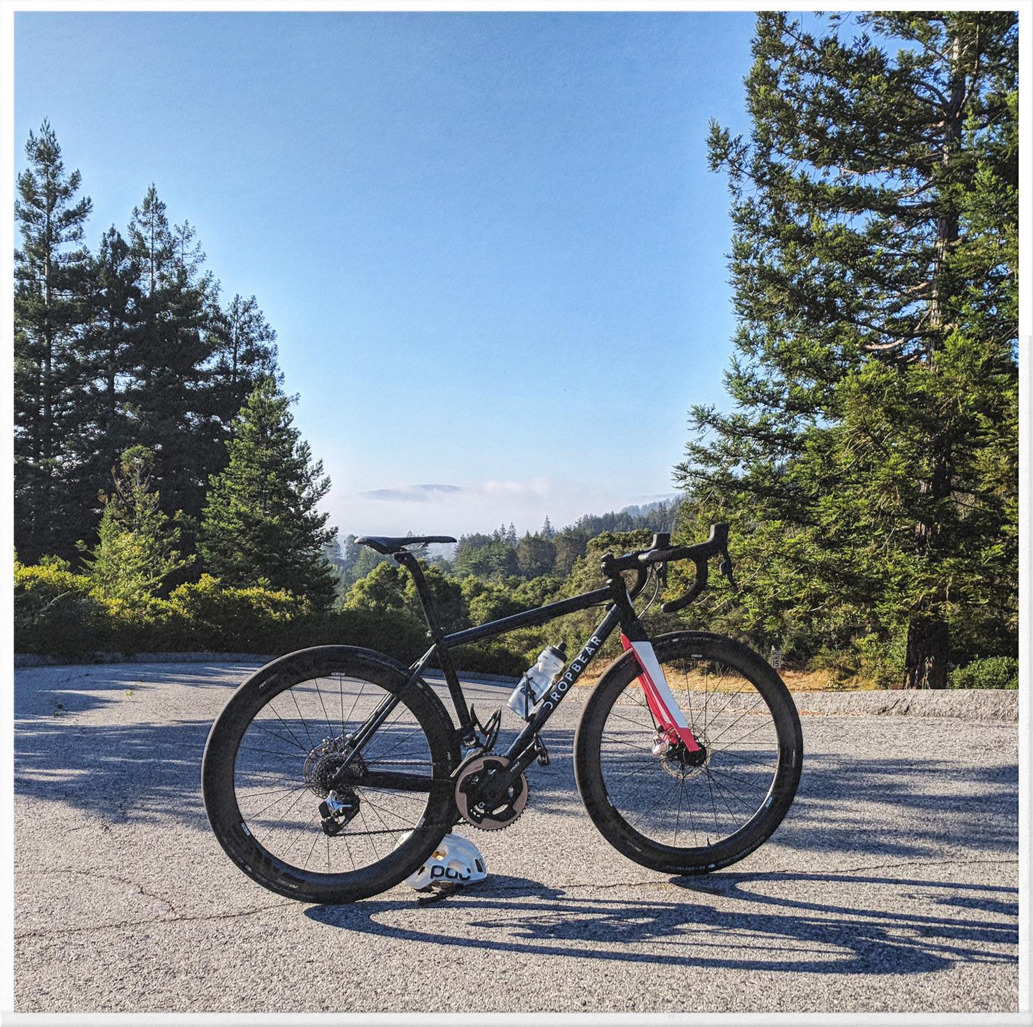 Bike in the wild on road