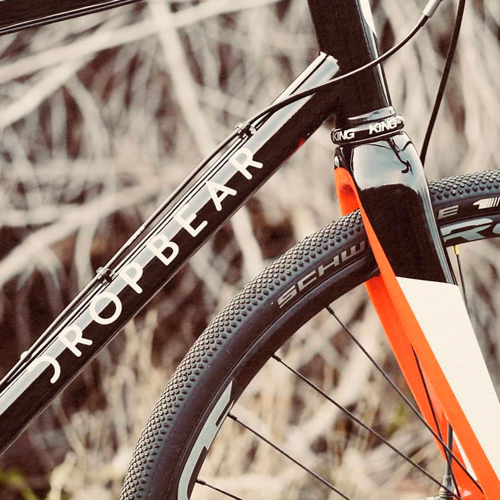 Bike Detail - Frame & Fork