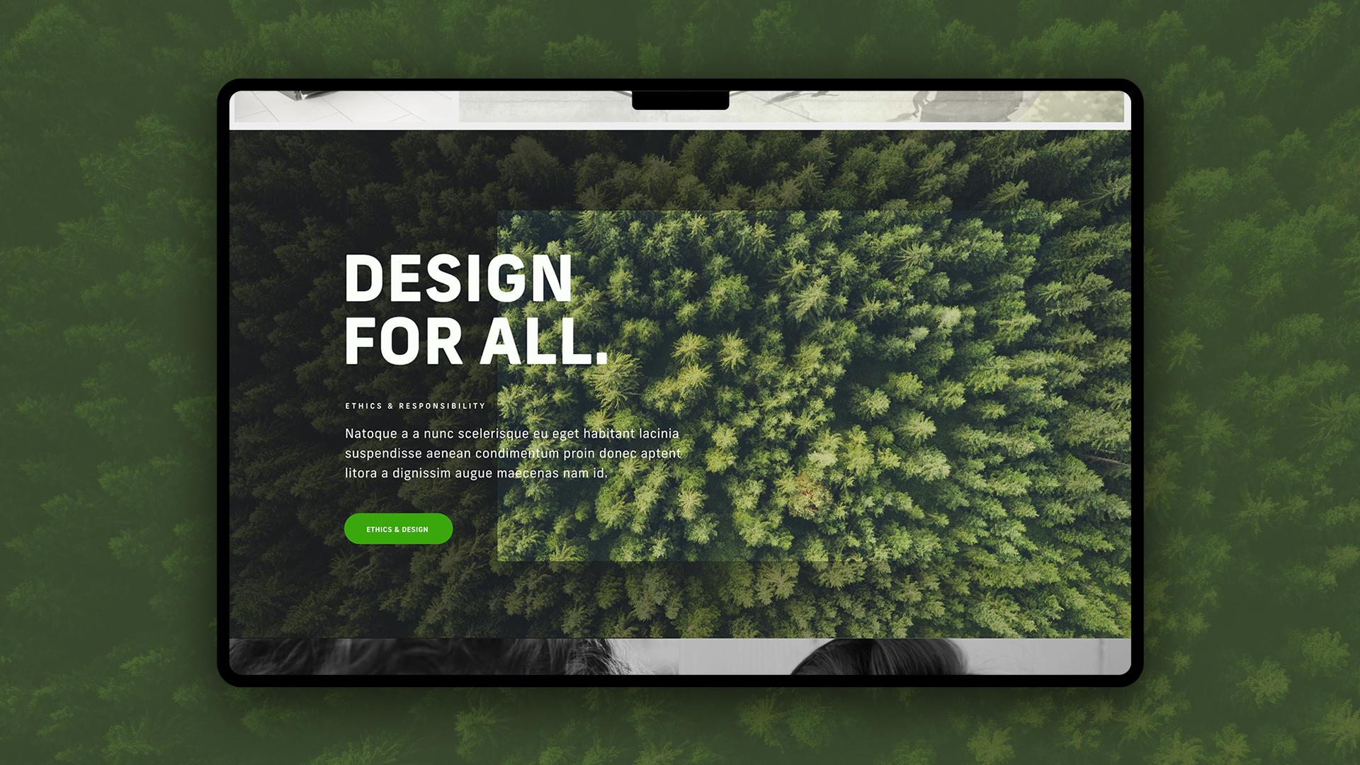 Studio Luz website image